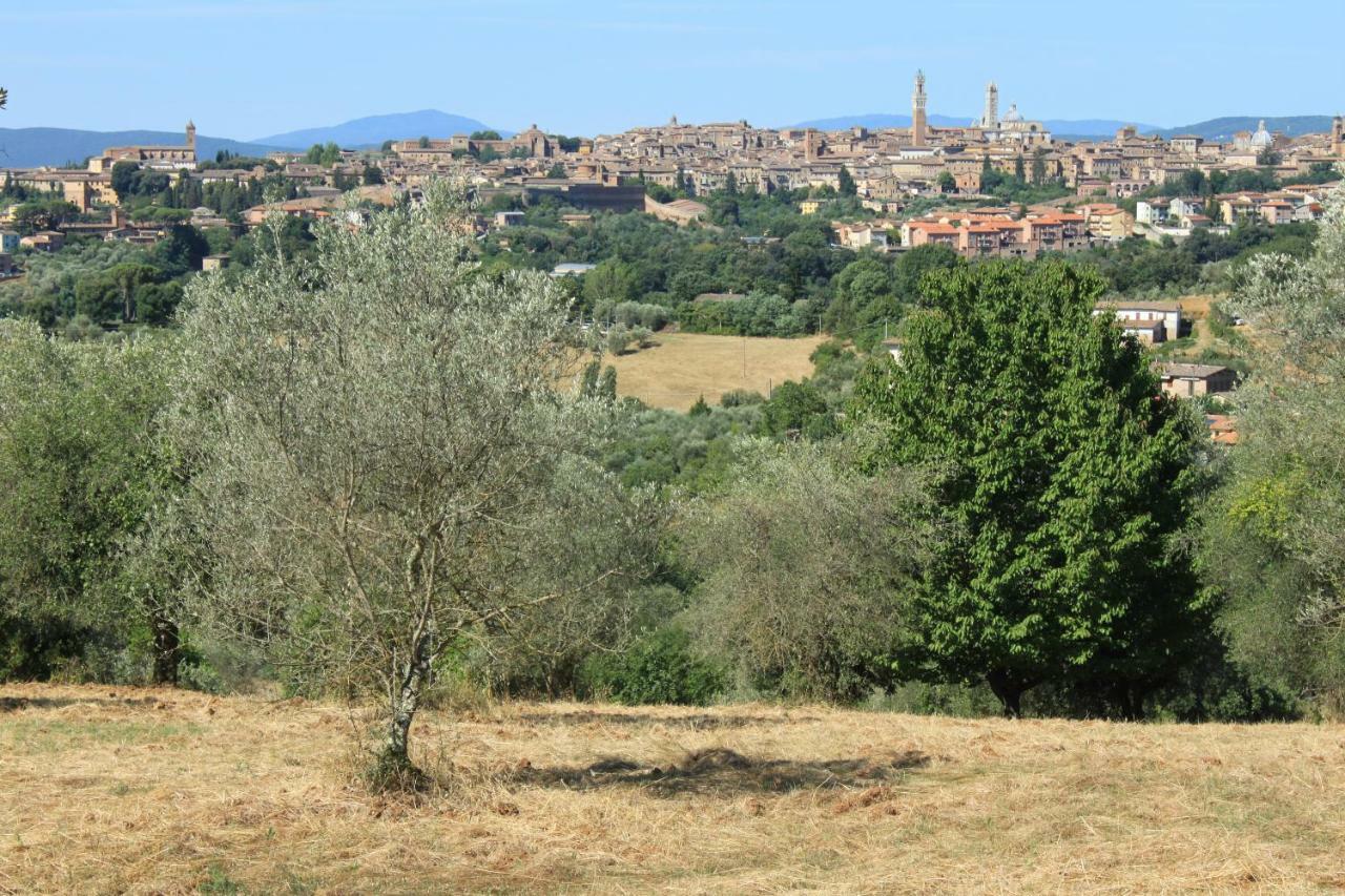 Vignano40 Villa Siena Luaran gambar